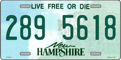 NH license plate 2895618