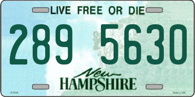 NH license plate 2895630