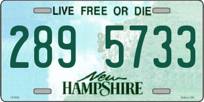 NH license plate 2895733