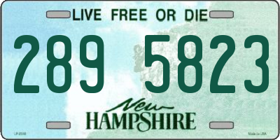 NH license plate 2895823