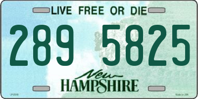 NH license plate 2895825