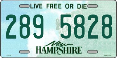 NH license plate 2895828