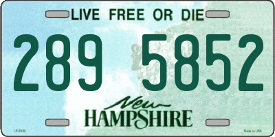 NH license plate 2895852