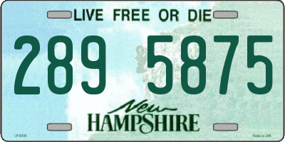 NH license plate 2895875