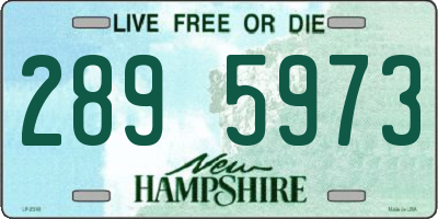 NH license plate 2895973