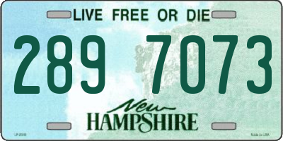 NH license plate 2897073