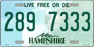NH license plate 2897333