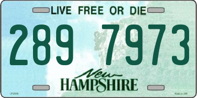 NH license plate 2897973