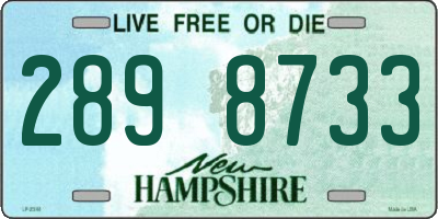 NH license plate 2898733