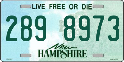 NH license plate 2898973
