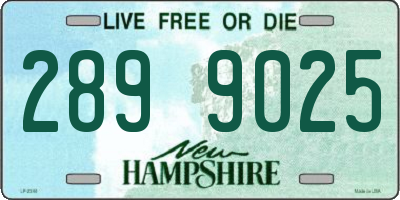 NH license plate 2899025