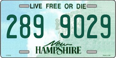 NH license plate 2899029
