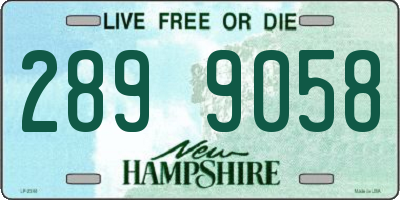 NH license plate 2899058