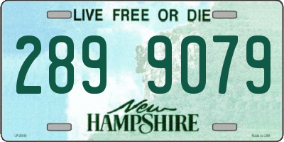 NH license plate 2899079
