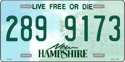 NH license plate 2899173