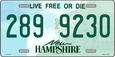 NH license plate 2899230