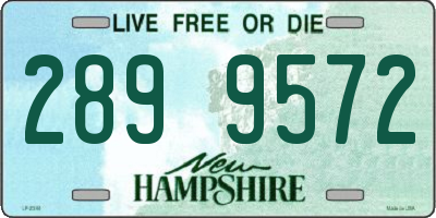 NH license plate 2899572