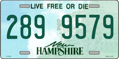 NH license plate 2899579