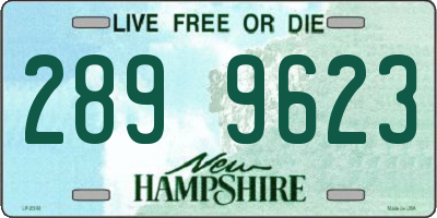 NH license plate 2899623