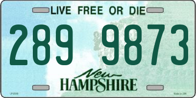 NH license plate 2899873