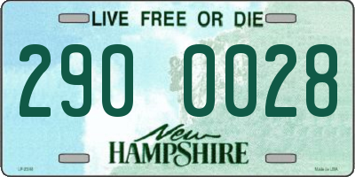NH license plate 2900028