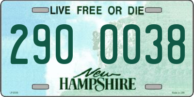 NH license plate 2900038