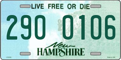 NH license plate 2900106
