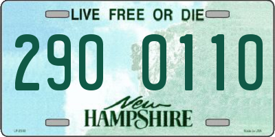 NH license plate 2900110
