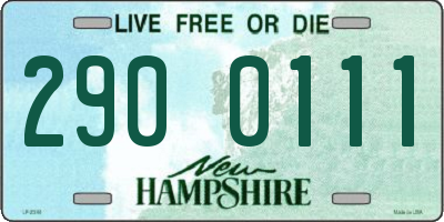 NH license plate 2900111