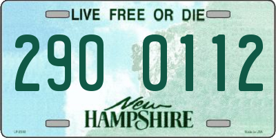 NH license plate 2900112