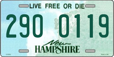 NH license plate 2900119