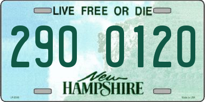 NH license plate 2900120