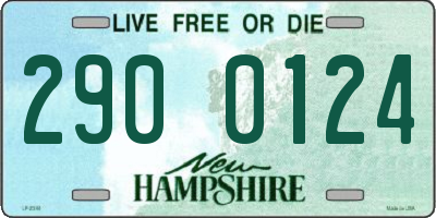 NH license plate 2900124