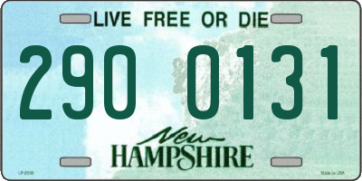NH license plate 2900131