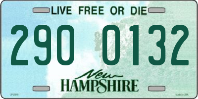 NH license plate 2900132