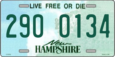 NH license plate 2900134