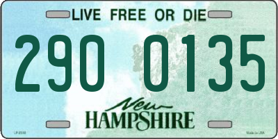 NH license plate 2900135