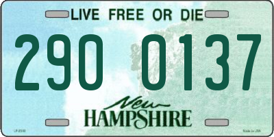 NH license plate 2900137