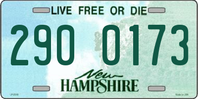 NH license plate 2900173