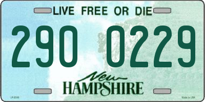 NH license plate 2900229