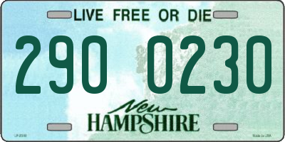 NH license plate 2900230