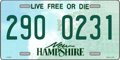 NH license plate 2900231
