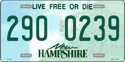 NH license plate 2900239