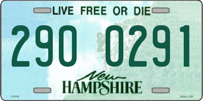 NH license plate 2900291