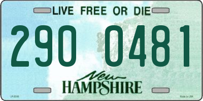 NH license plate 2900481