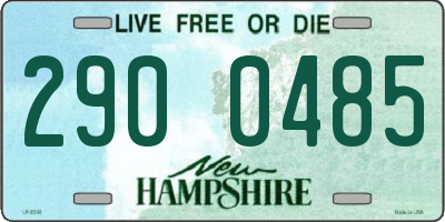 NH license plate 2900485