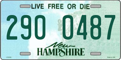 NH license plate 2900487
