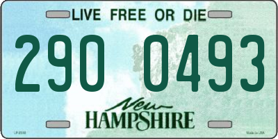 NH license plate 2900493