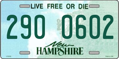 NH license plate 2900602