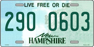 NH license plate 2900603